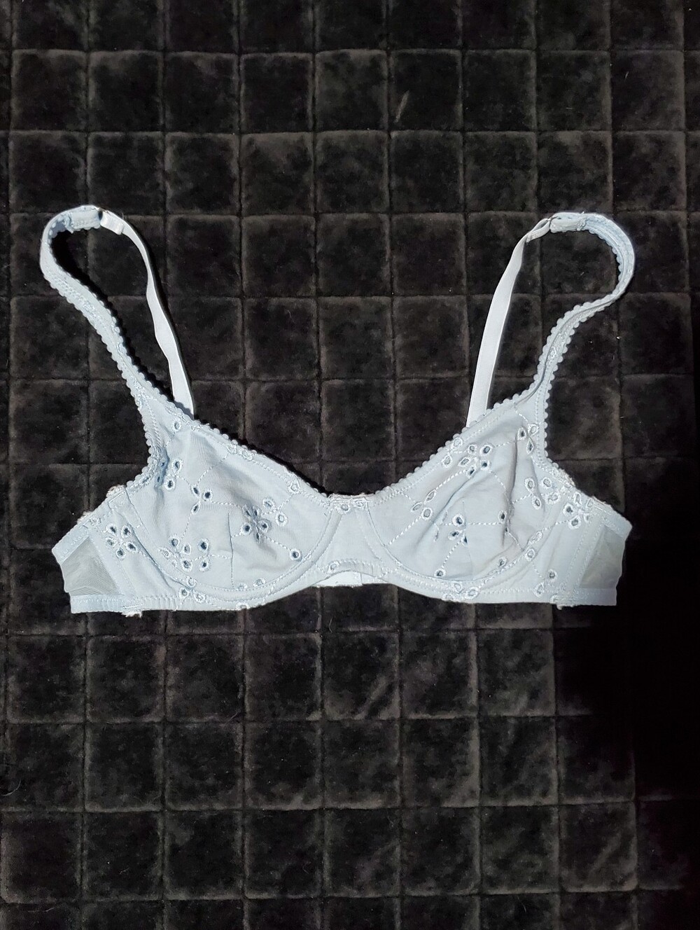 Free People Light Blue Eyelet Bra